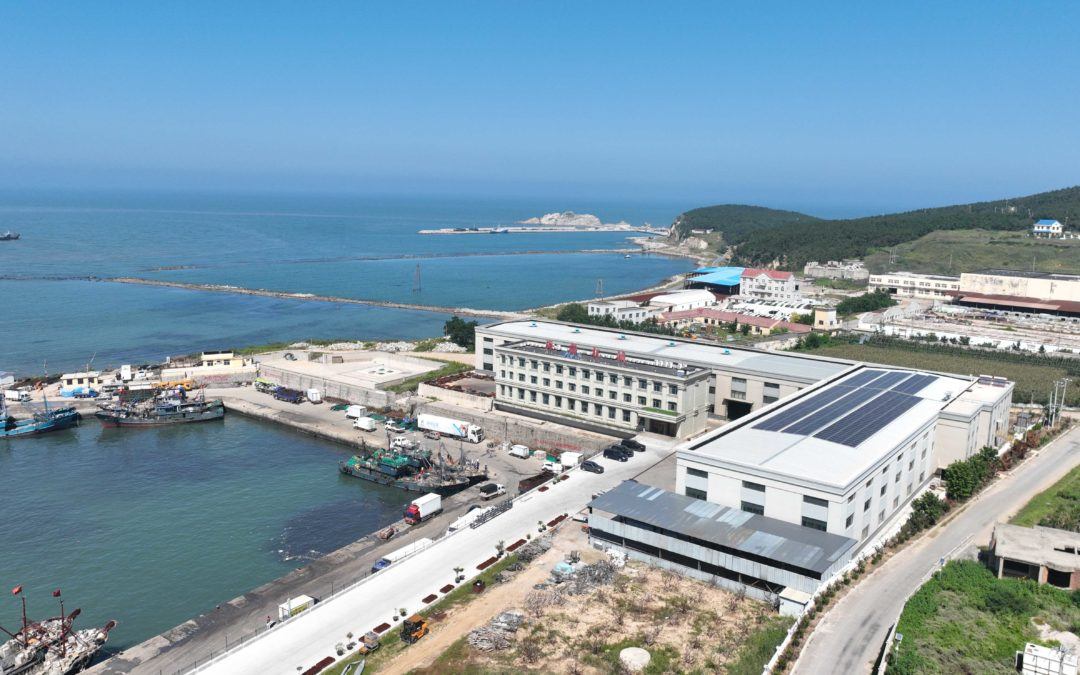 新利luck18(中国)体育·官方网站